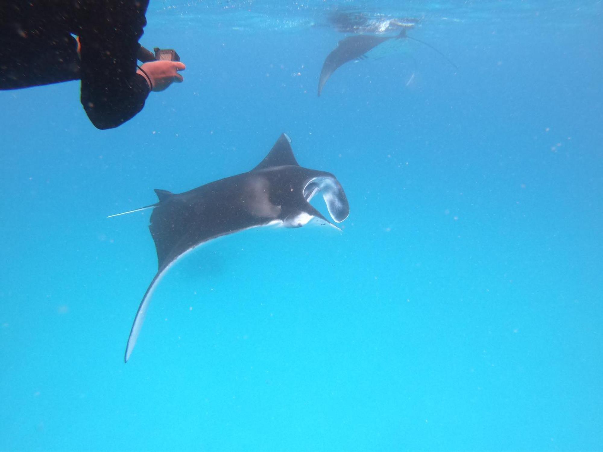 Biosphere Inn Dharavandhoo Luaran gambar