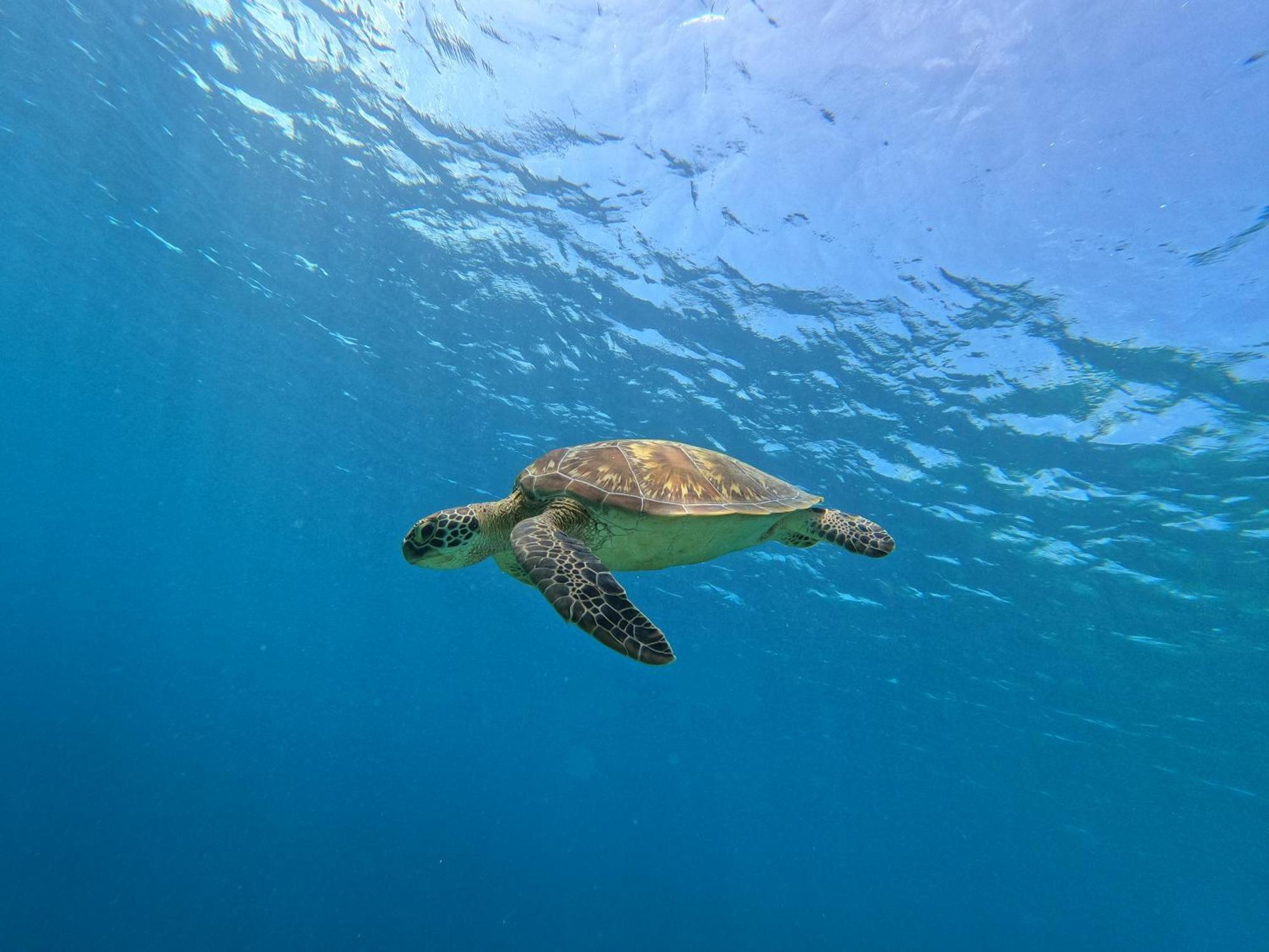 Biosphere Inn Dharavandhoo Luaran gambar