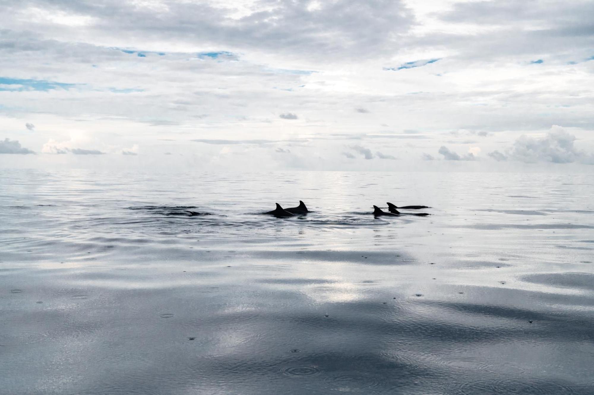 Biosphere Inn Dharavandhoo Luaran gambar