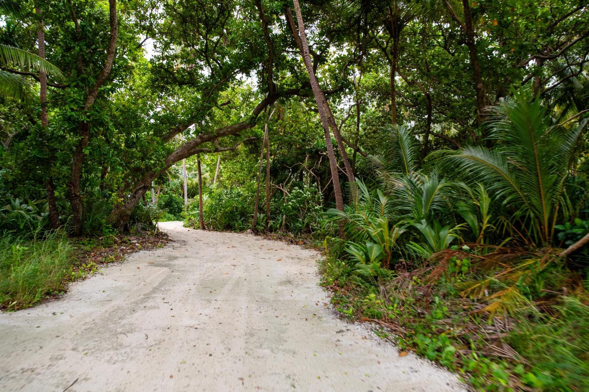 Biosphere Inn Dharavandhoo Luaran gambar
